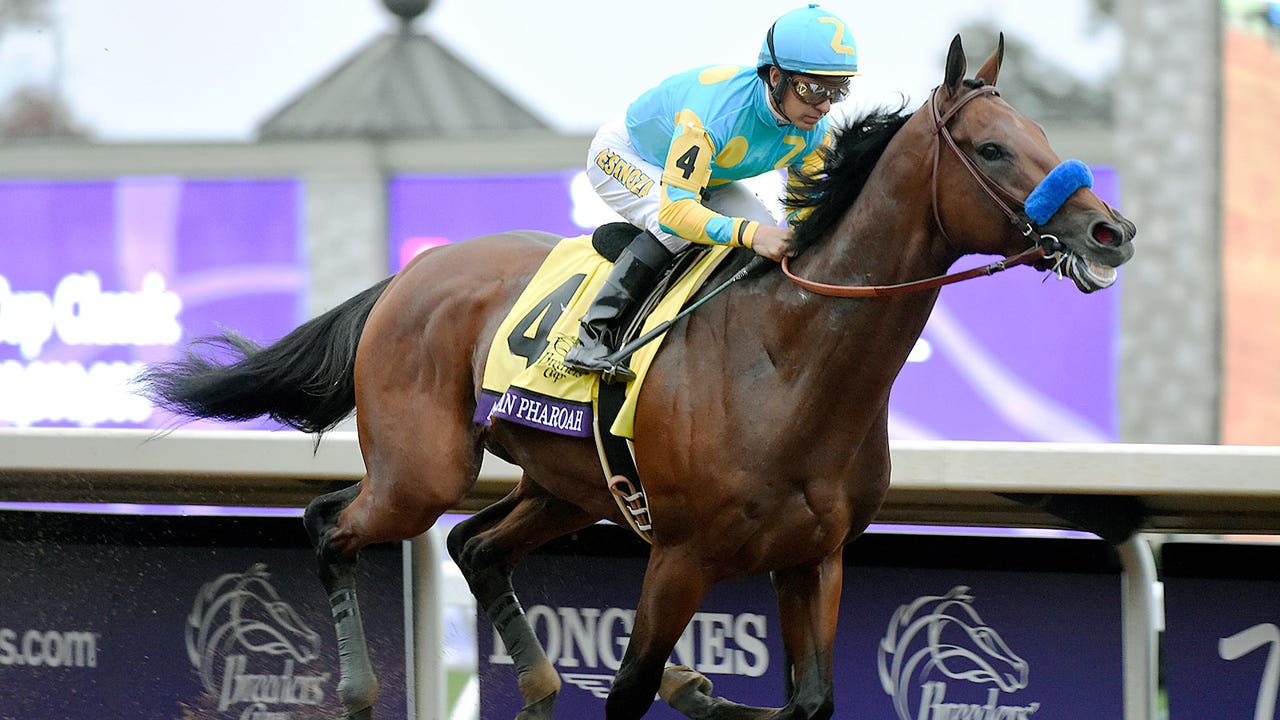 The case for American Pharoah for Sportsman of the Year